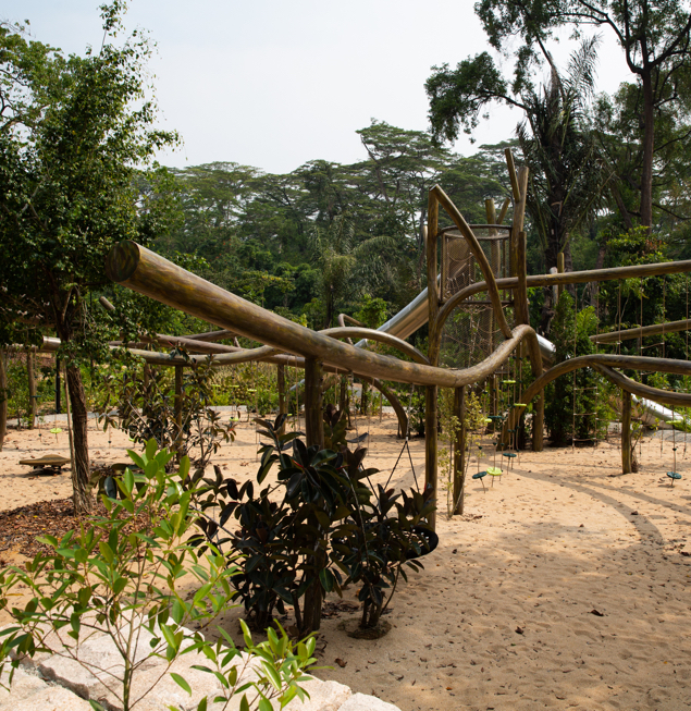 tree-branch.jpg